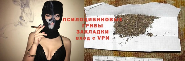 дурь Горнозаводск