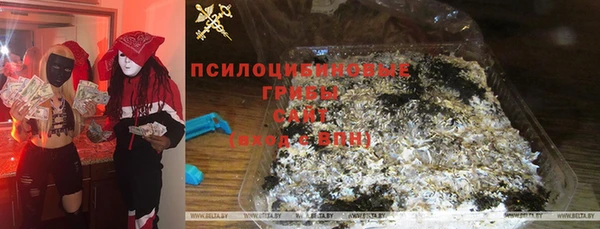 гашик Дмитриев