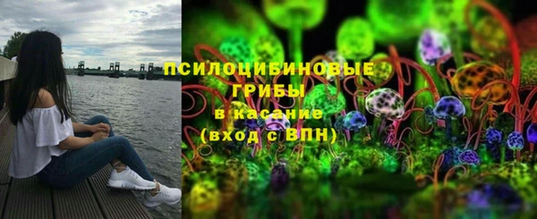 дурь Горнозаводск