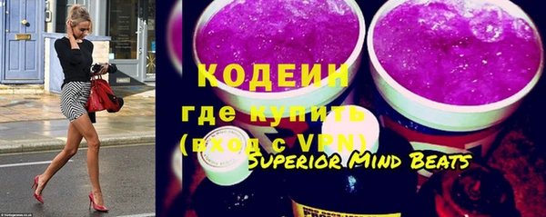 гашик Дмитриев