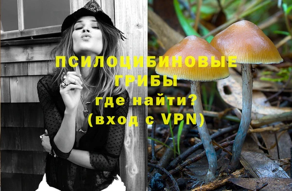дурь Горнозаводск
